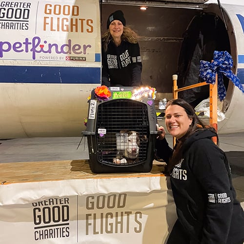 VS-Photograph_20231206_GFL_LA-PNW_Loading_003_©IbervilleParishAnimalShelter copy